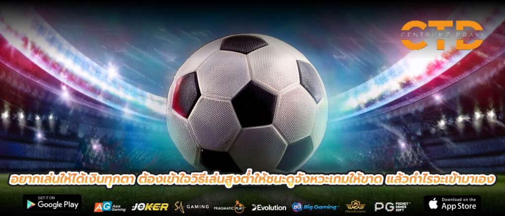 อยากเล่นให้ได้เงินทุกตา ต้องเข้าใจวิธีเล่นสูงต่ำให้ชนะดูจังหวะเกมให้ขาด แล้วกำไรจะเข้ามาเอง